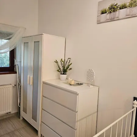 Apartamenty Wiselka * Wisełka