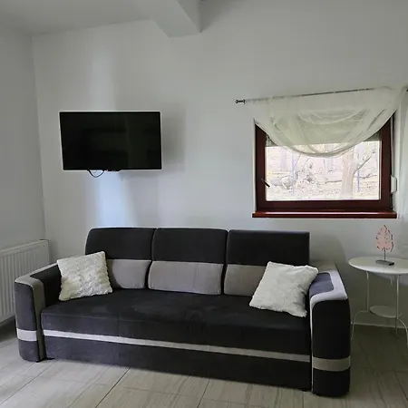 Apartamenty Wiselka 아파트 *