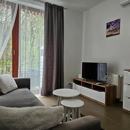 Apartamenty Wiselka アパート