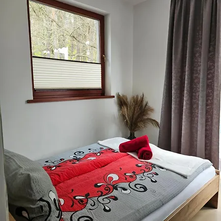 Apartamenty Wiselka Wisełka