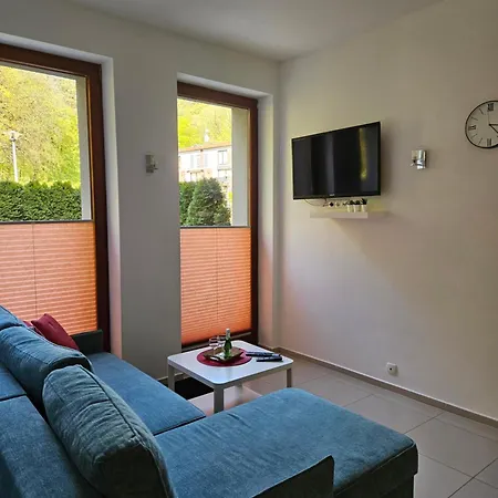 Apartamenty Wiselka شقة *