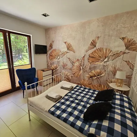 Apartamenty Wiselka アパート *