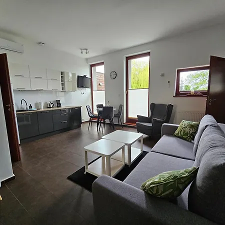 Apartamenty Wiselka * Wisełka