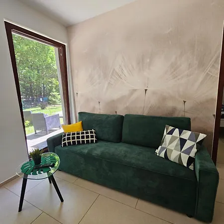 아파트 Apartamenty Wiselka